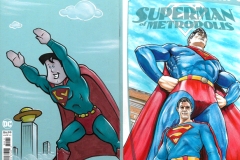 Superman Of Metropolis BK/FR