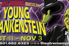 Young Frankenstein web ad