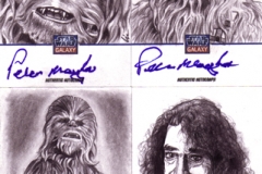 Galaxy7  Peter Mayhew